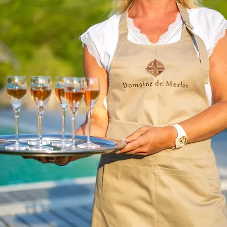 Domaine De Merlac * Rieussec