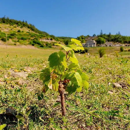 Domaine De Merlac Villa