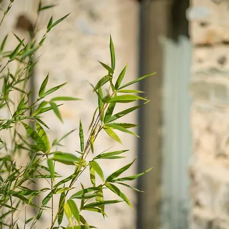 فيلة Domaine De Merlac